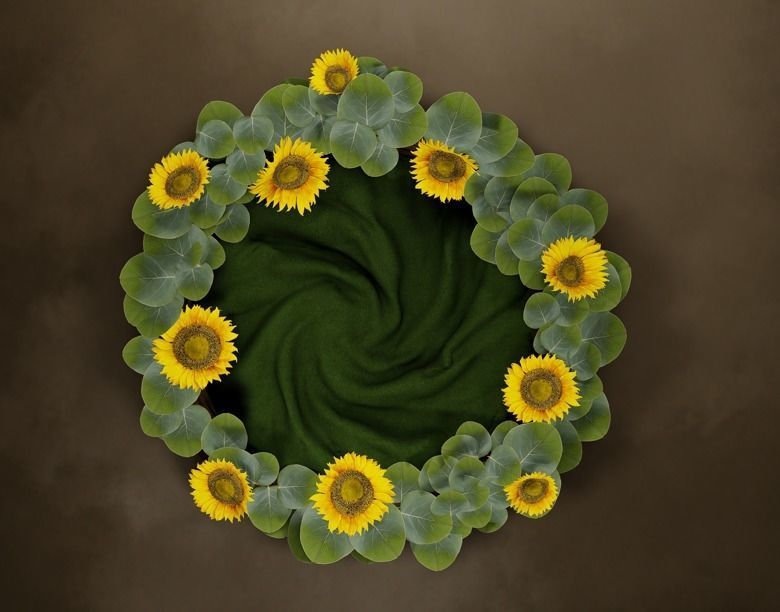 Newborn Photoshoot Scene 3D model_1