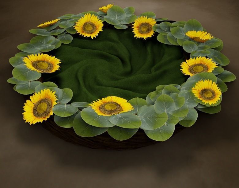 Newborn Photoshoot Scene 3D model_3