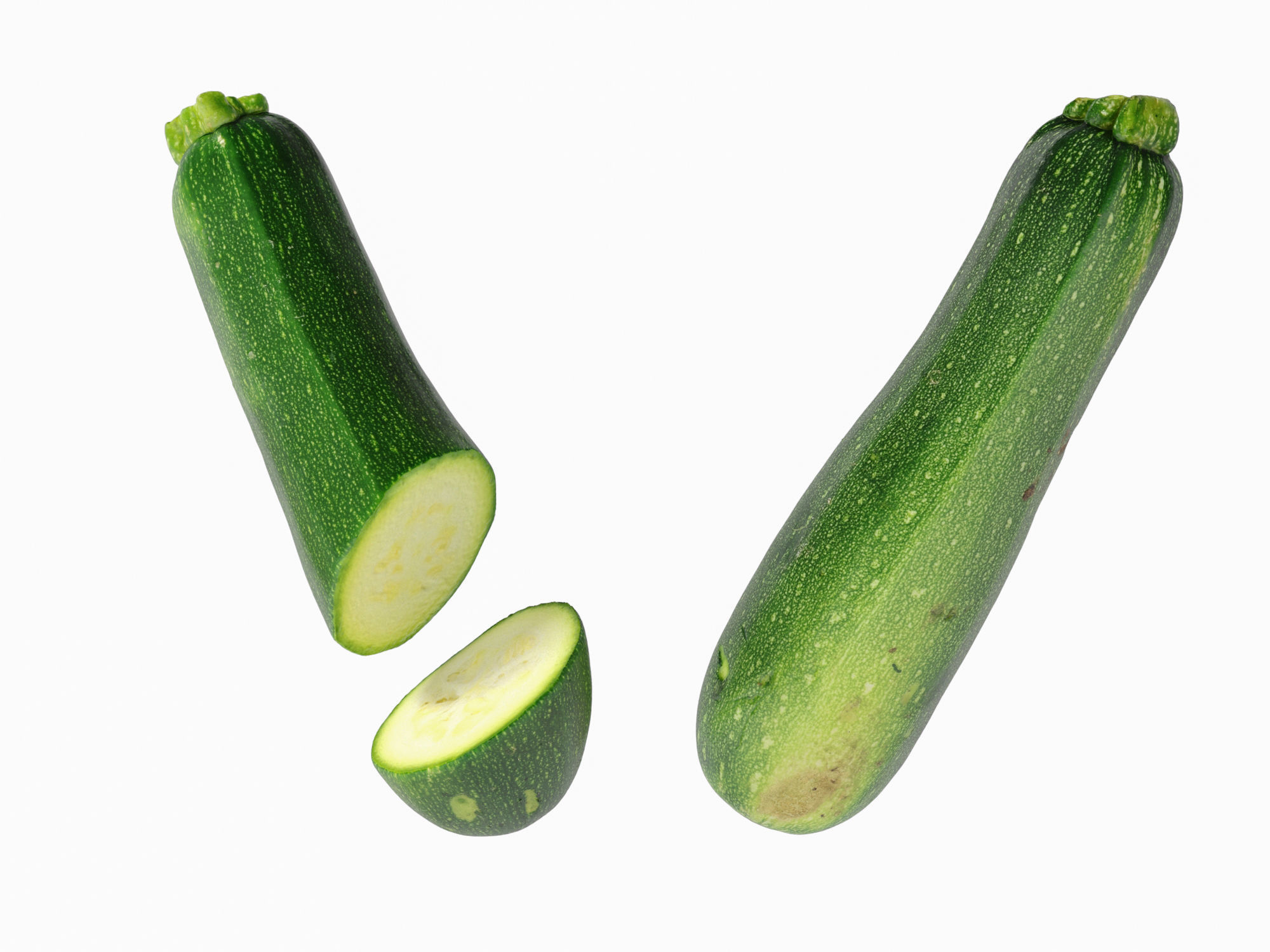 Zucchini 3D model_11