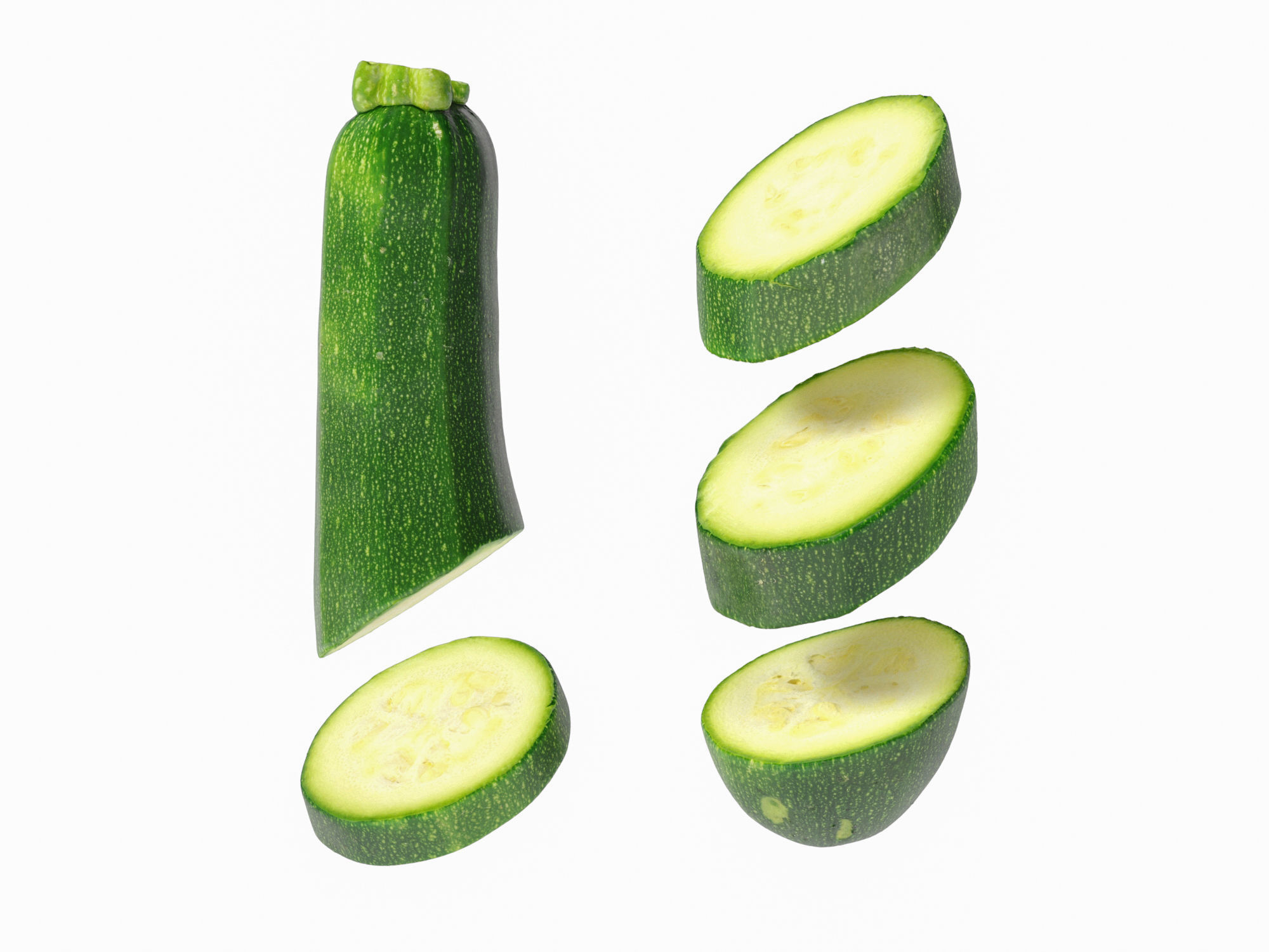 Zucchini 3D model_8
