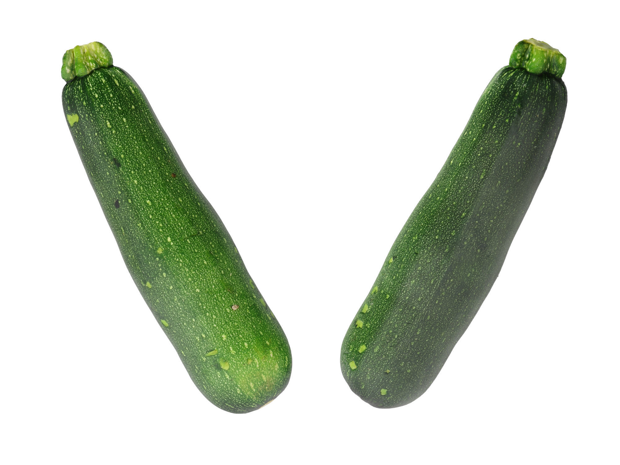 Zucchini 3D model_7
