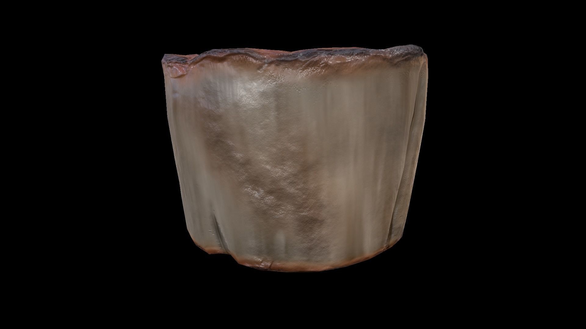 ScallopMushroom Low-poly 3D model_5