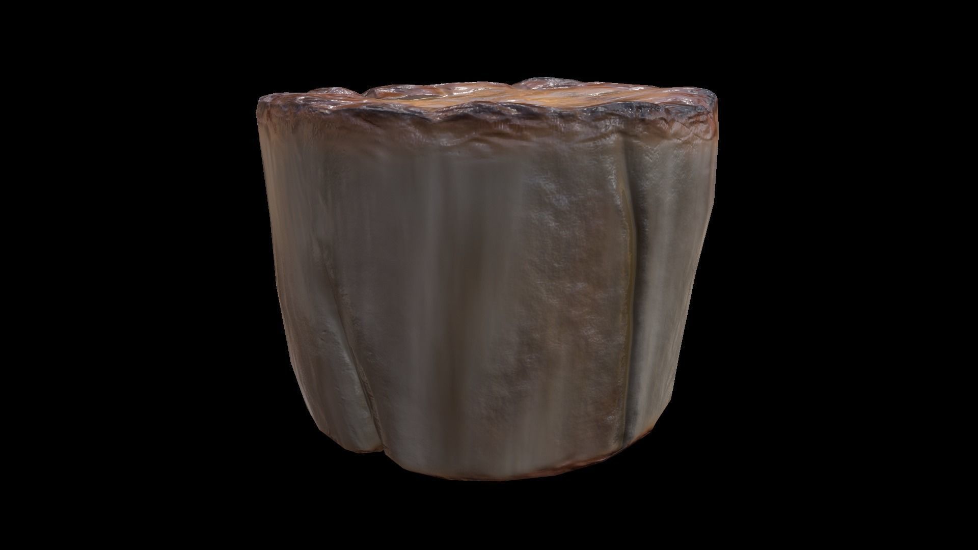 ScallopMushroom Low-poly 3D model_4