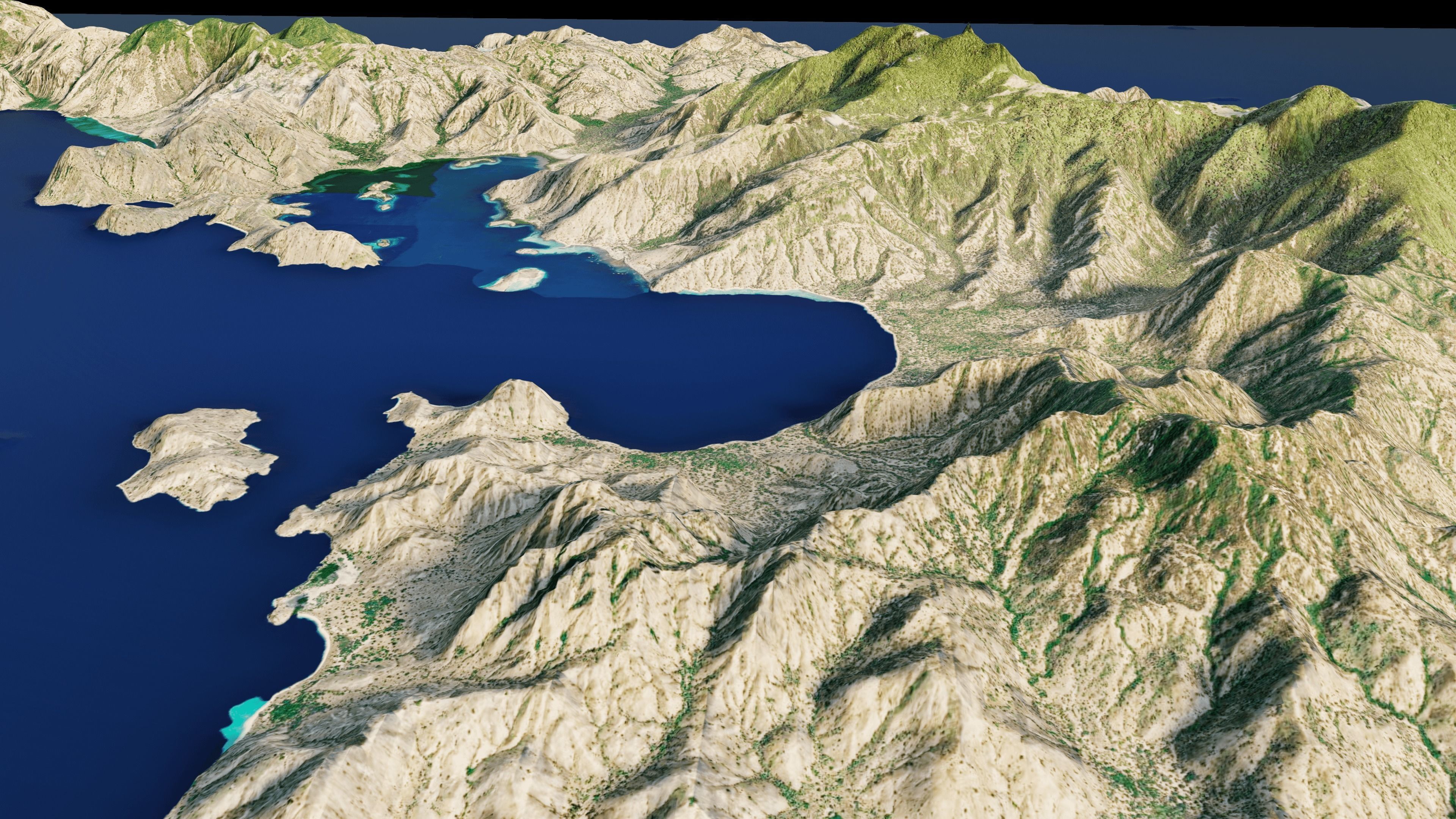 Komodo Island full 3d Terrain 3D model_12