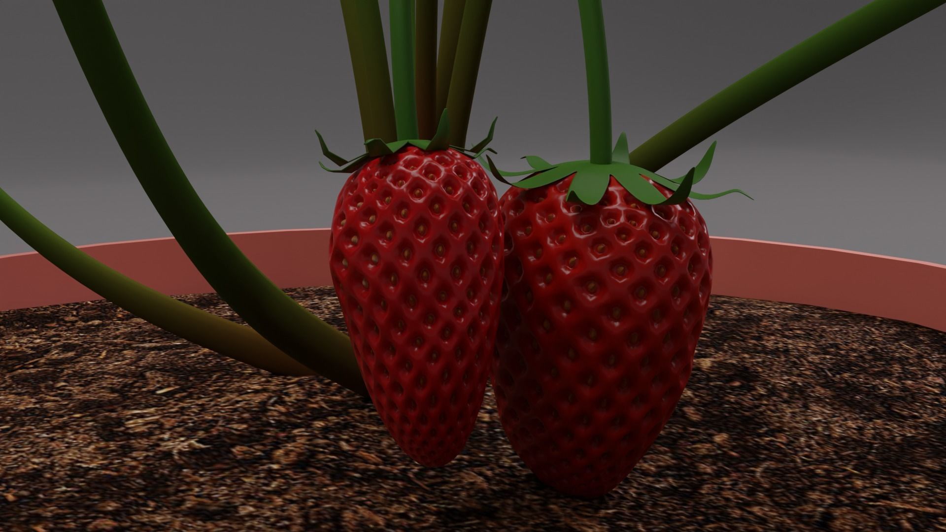 Strawberry Plant Low-poly 3D model_5