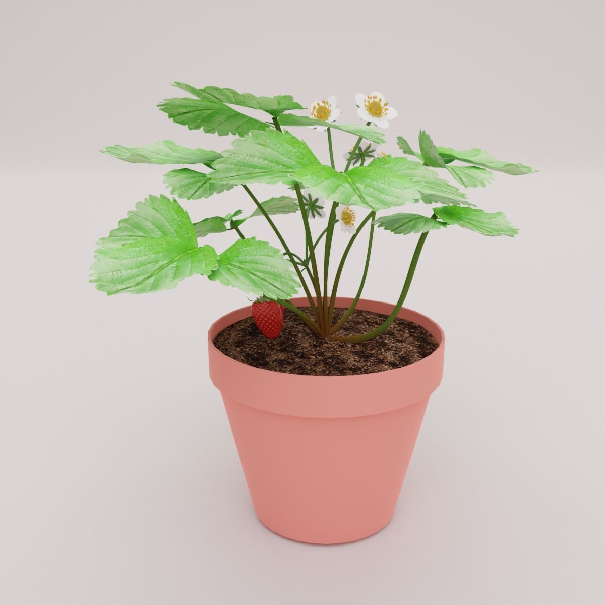 Strawberry Plant Low-poly 3D model_1