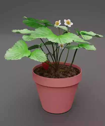 Strawberry Plant Low-poly 3D model