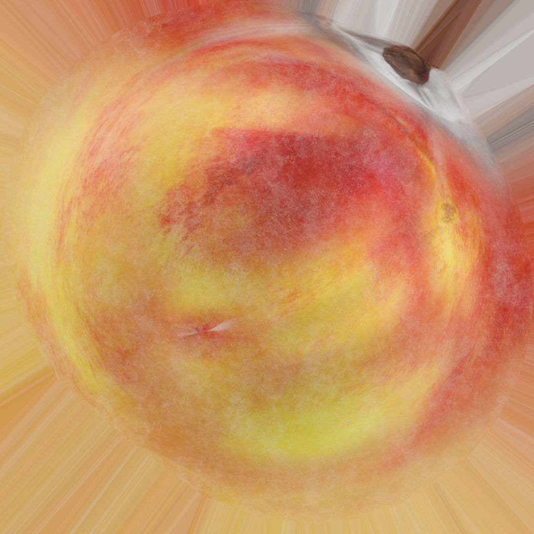 Peaches  3D model_3