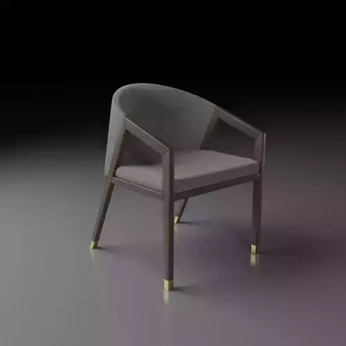 Modern Dining Chair