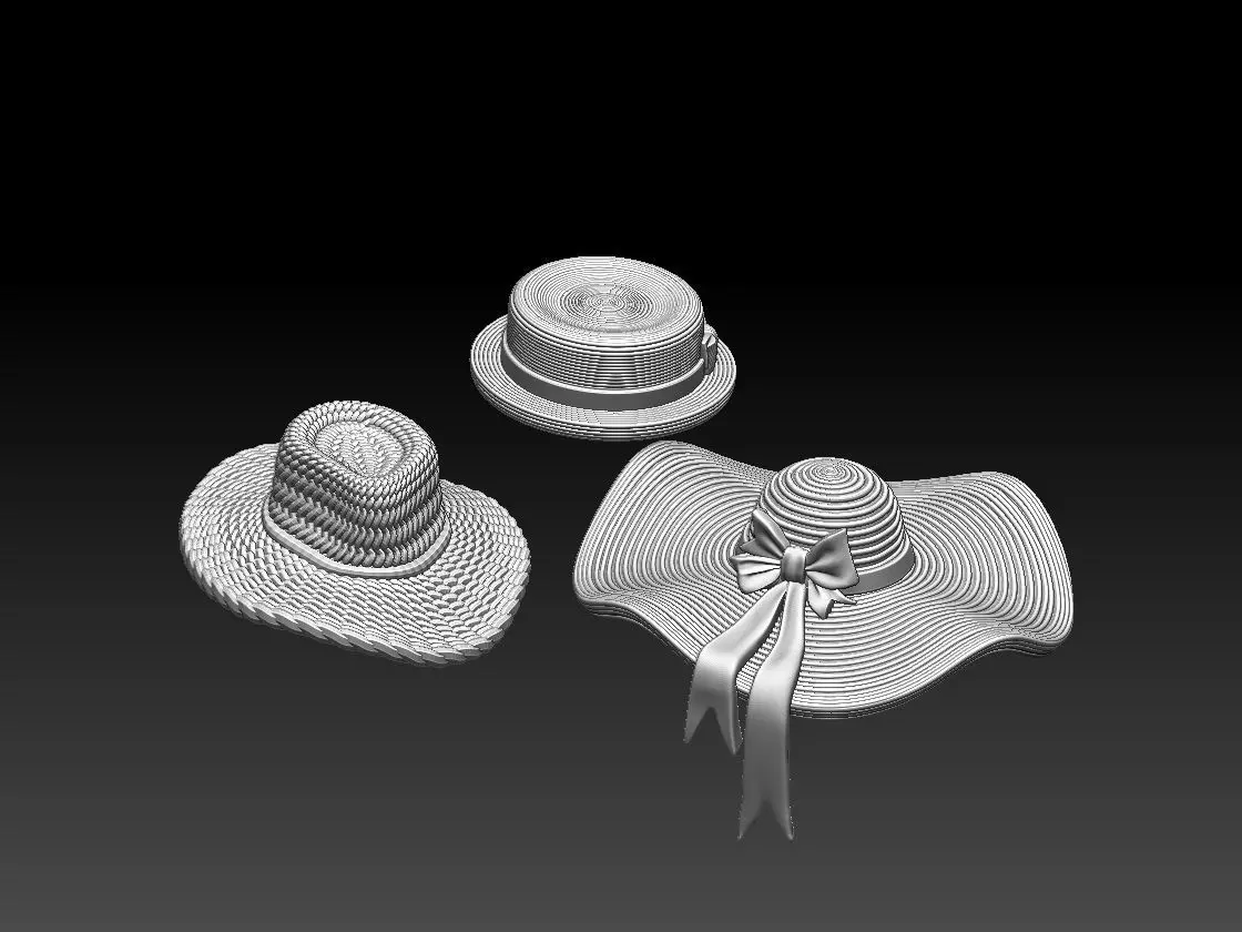 straw hat 3D print model