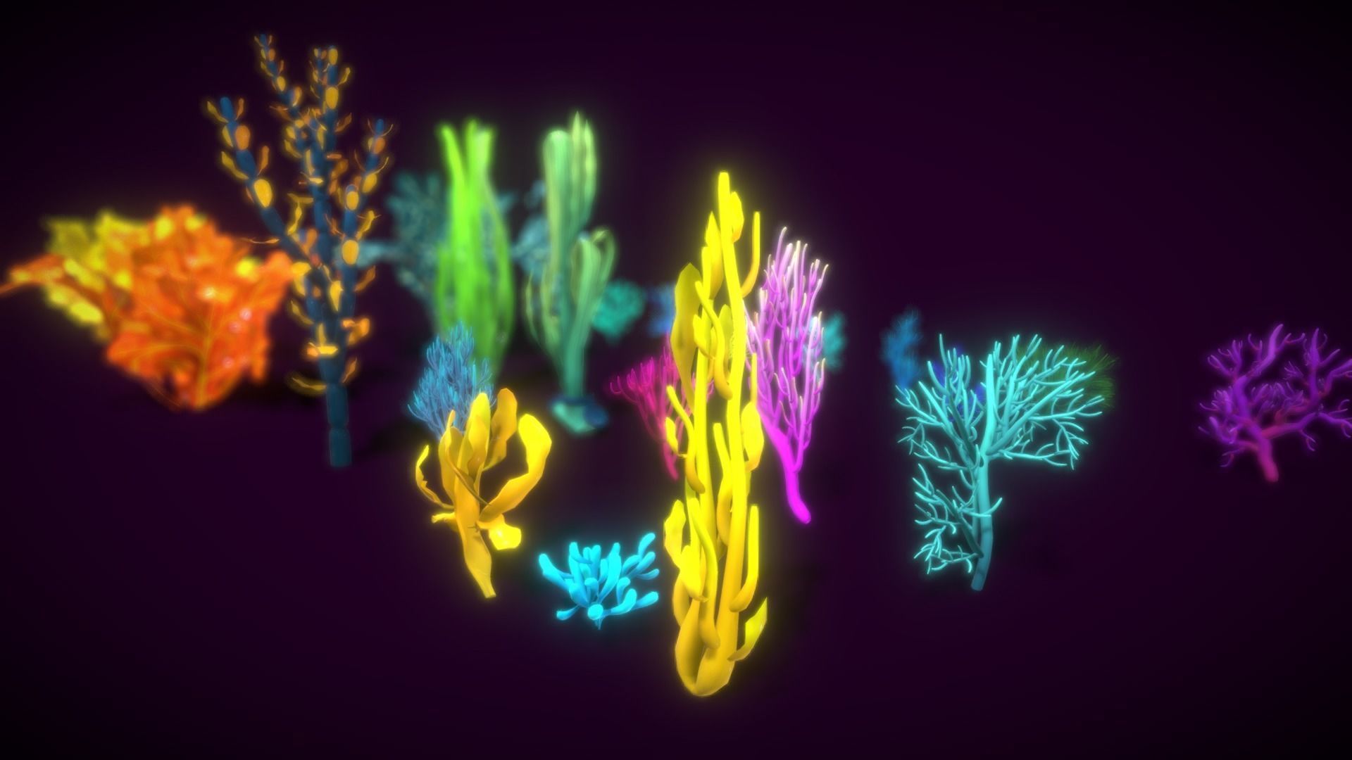 Cartoon Seaweed 9  Low-poly 3D model_15