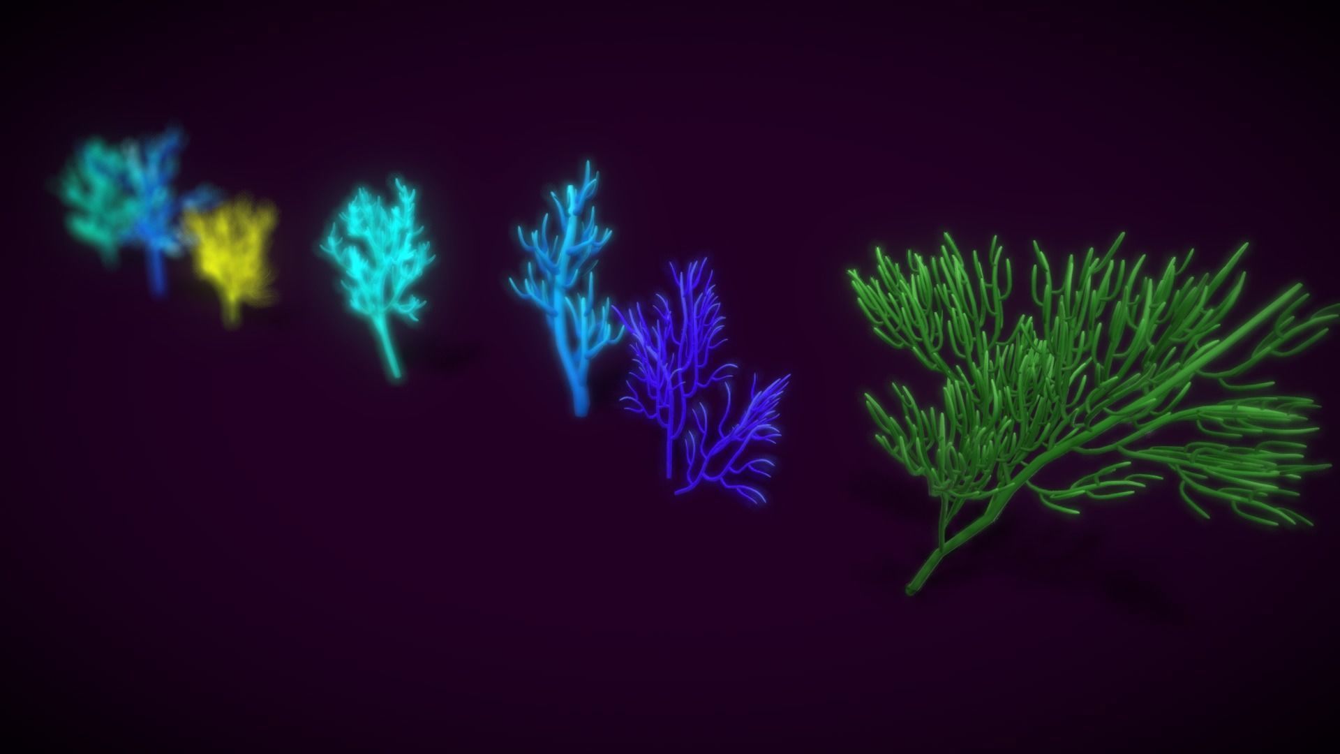 Cartoon Seaweed 9  Low-poly 3D model_3