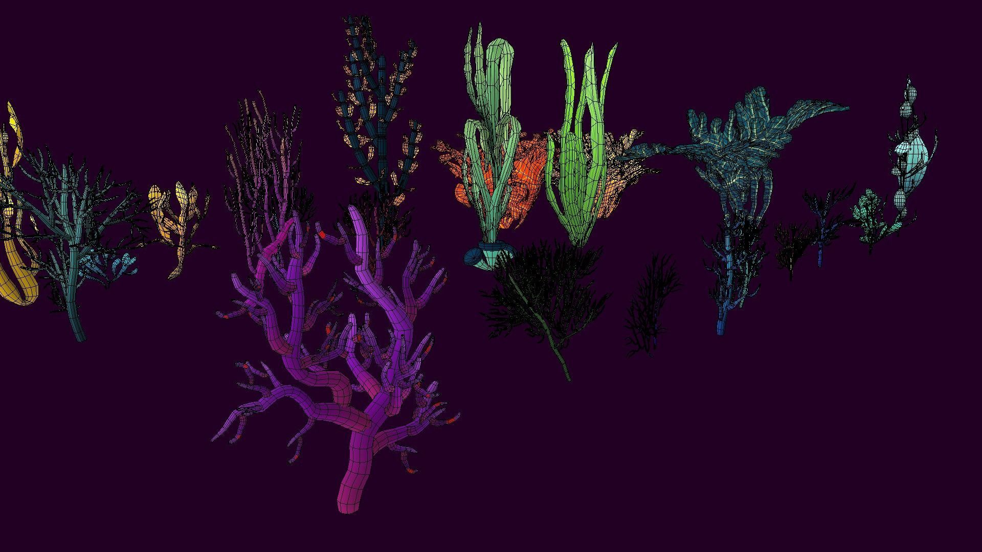 Cartoon Seaweed 9  Low-poly 3D model_14