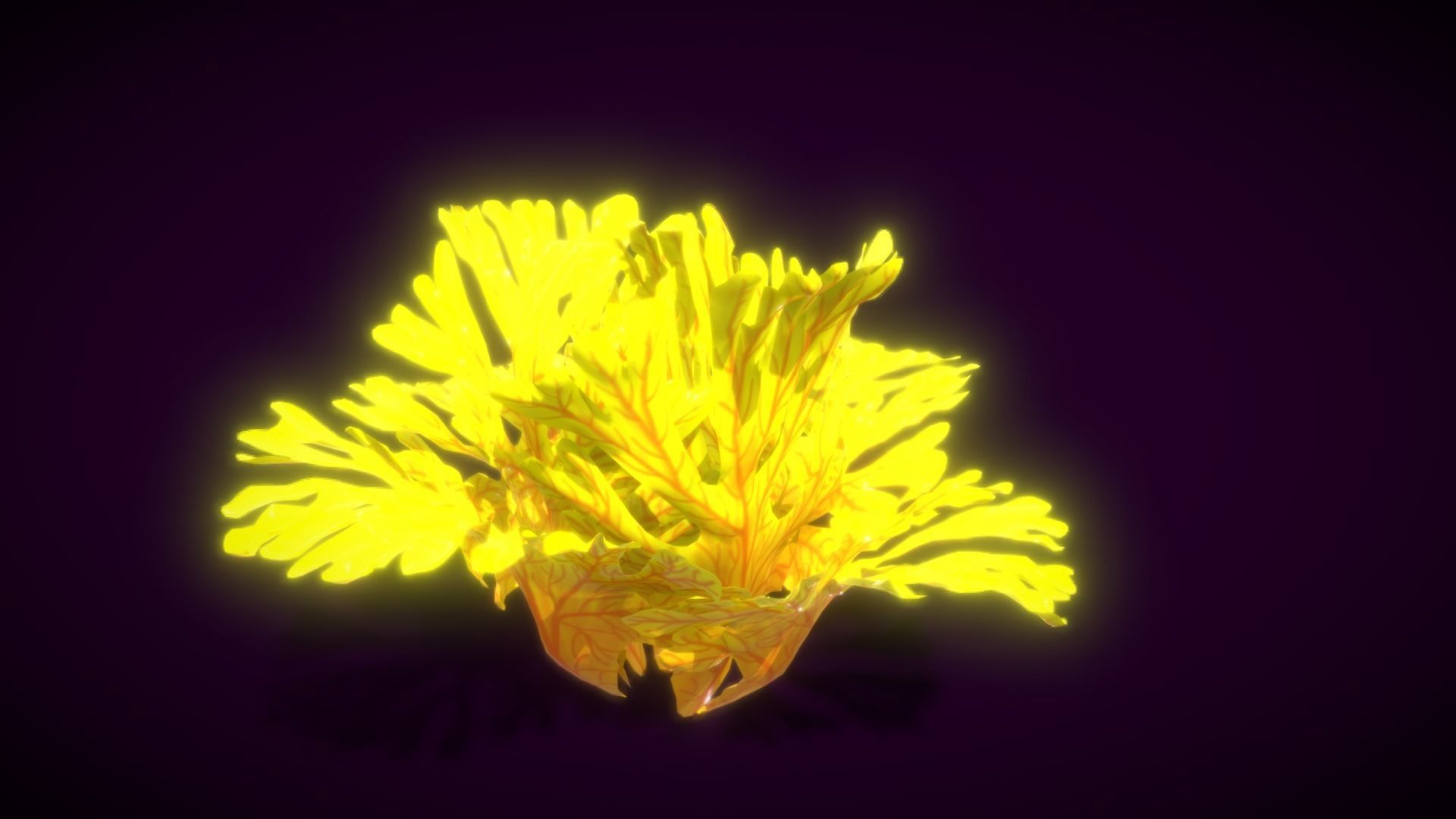 Cartoon Seaweed 9  Low-poly 3D model_1