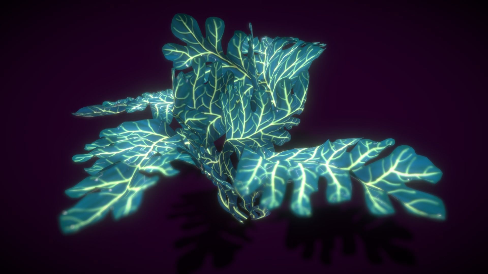 Cartoon Seaweed 9  Low-poly 3D model_16