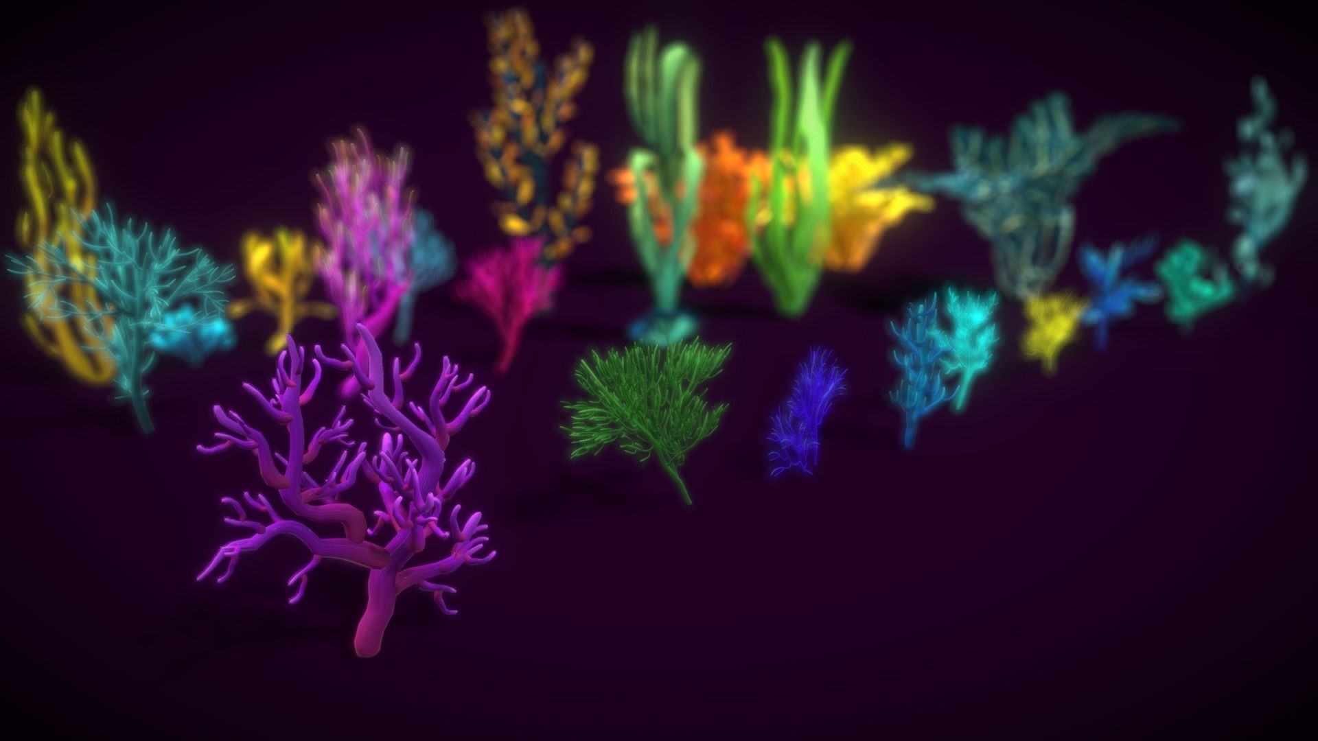 Cartoon Seaweed 9  Low-poly 3D model_18