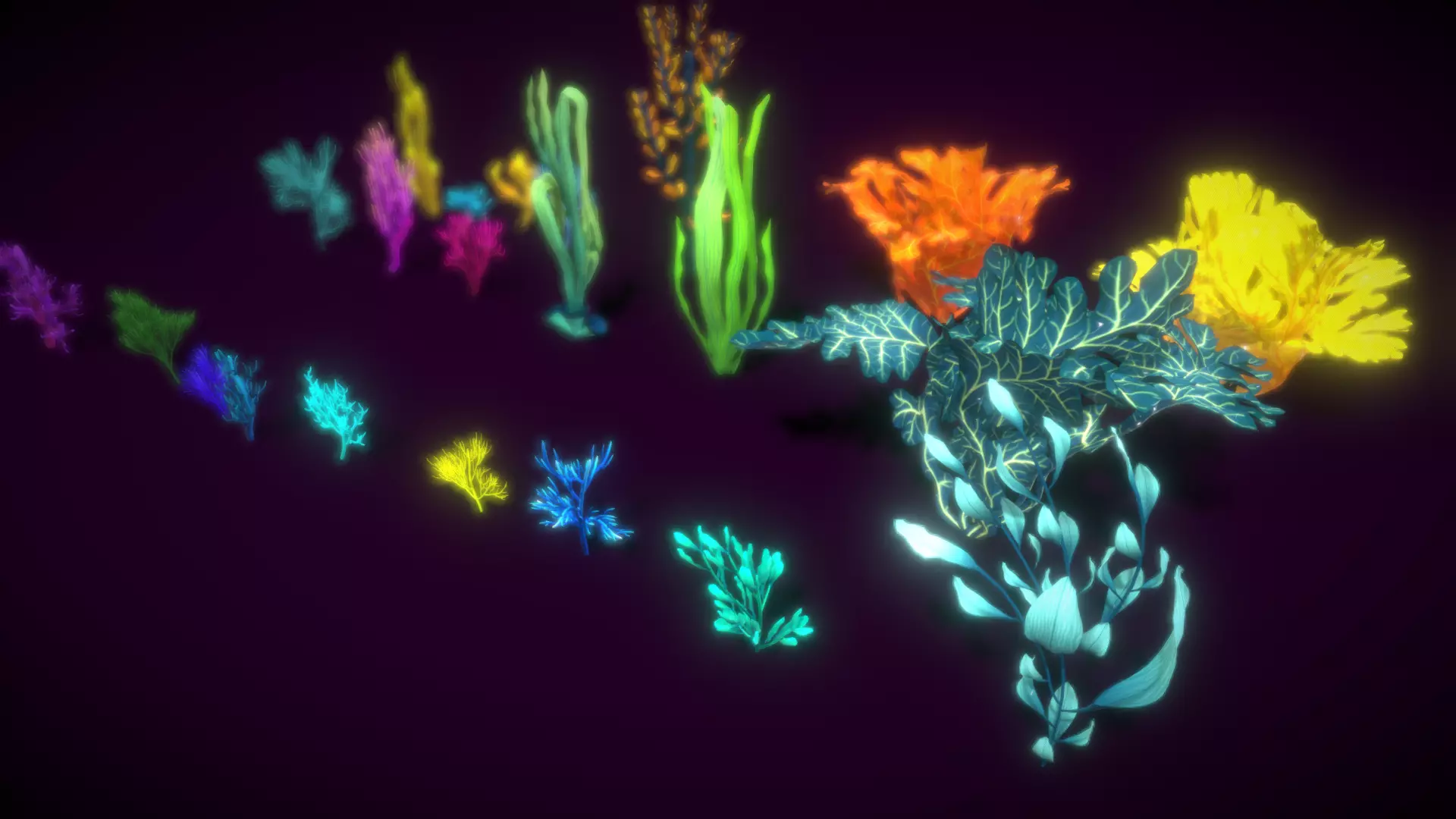 Cartoon Seaweed 9  Low-poly 3D model_0