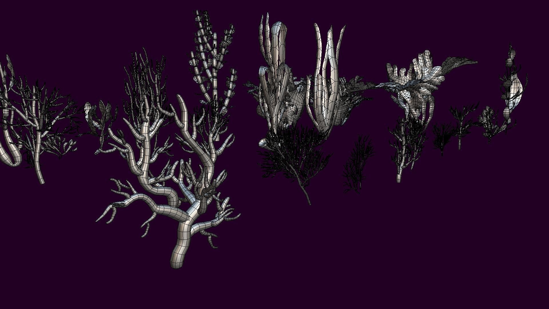 Cartoon Seaweed 9  Low-poly 3D model_12