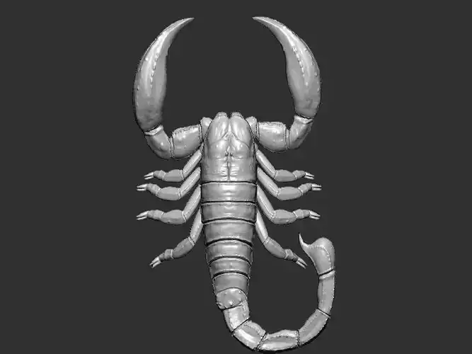 Scorpion model 3D print model