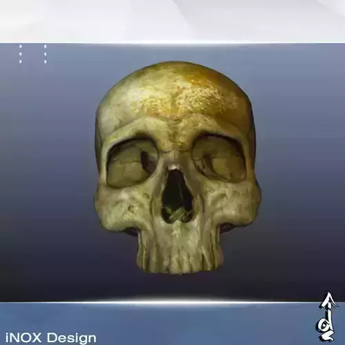 Old Skull Low-poly 3D model
