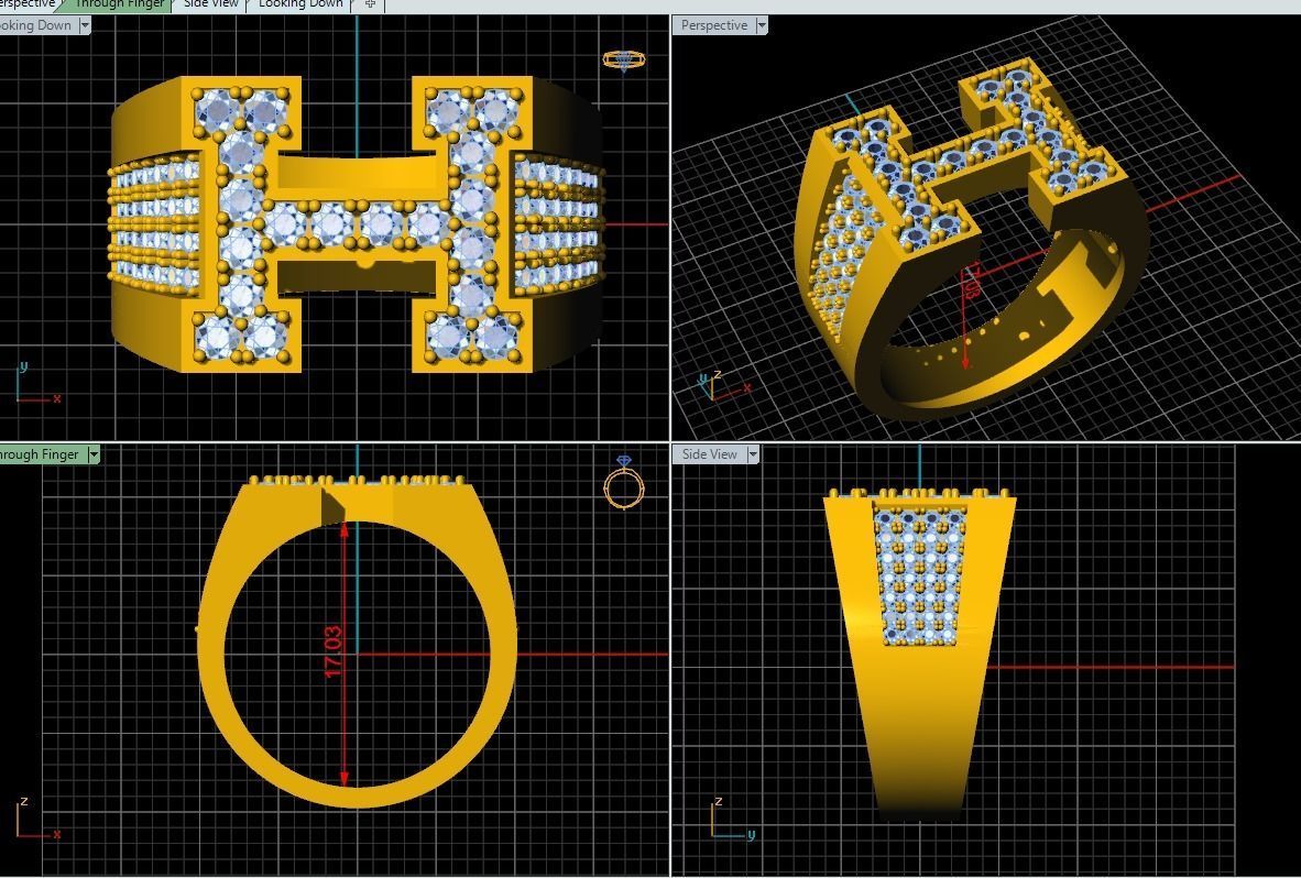 Ring H 3D print model_5