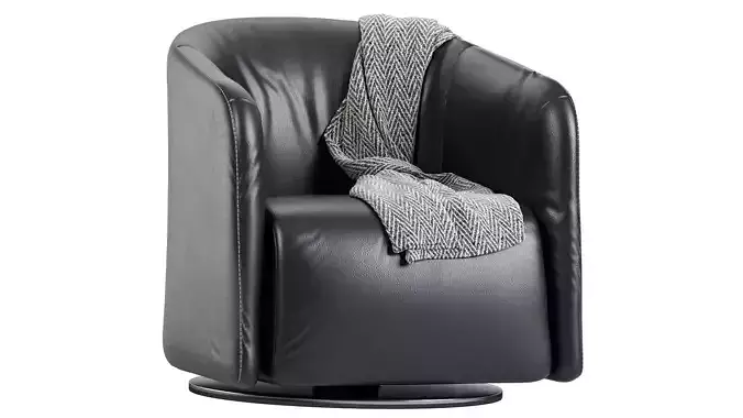 Logos Armchair Leather By Natuzzi