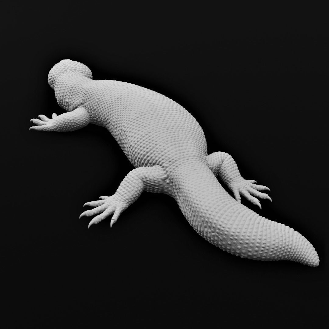 Gila Monster Lizard Realistc Venomous Reptile 3D Print Model 3D print model_7