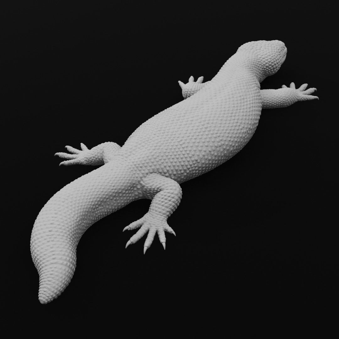 Gila Monster Lizard Realistc Venomous Reptile 3D Print Model 3D print model_8