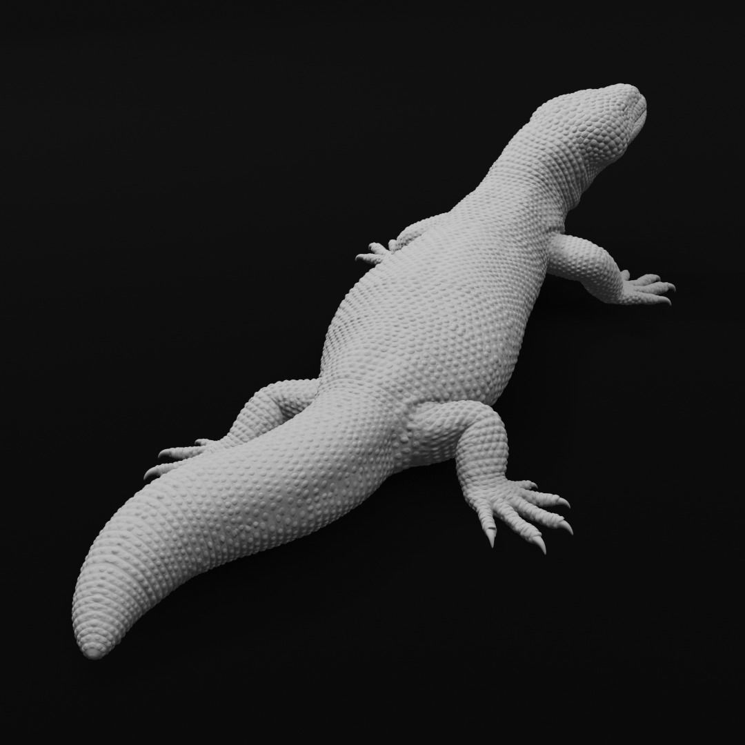 Gila Monster Lizard Realistc Venomous Reptile 3D Print Model 3D print model_13