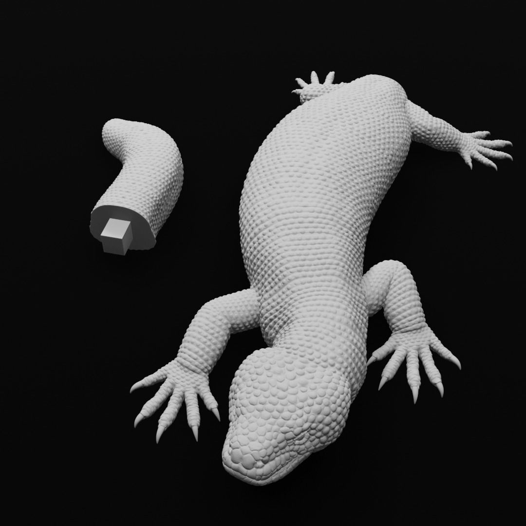 Gila Monster Lizard Realistc Venomous Reptile 3D Print Model 3D print model_16