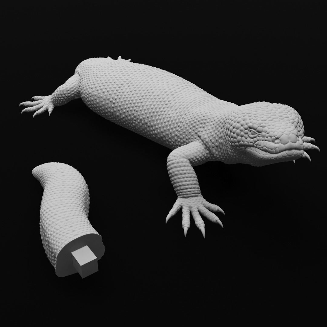 Gila Monster Lizard Realistc Venomous Reptile 3D Print Model 3D print model_17