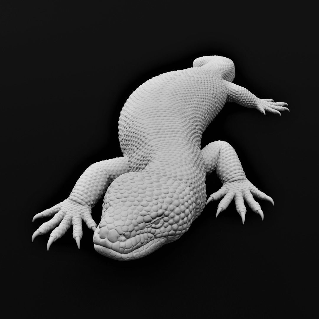 Gila Monster Lizard Realistc Venomous Reptile 3D Print Model 3D print model_5