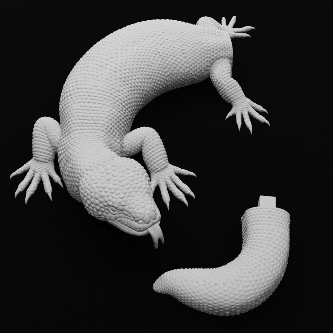 Gila Monster Lizard Realistc Venomous Reptile 3D Print Model 3D print model_15