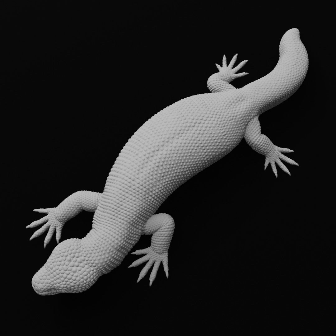 Gila Monster Lizard Realistc Venomous Reptile 3D Print Model 3D print model_9