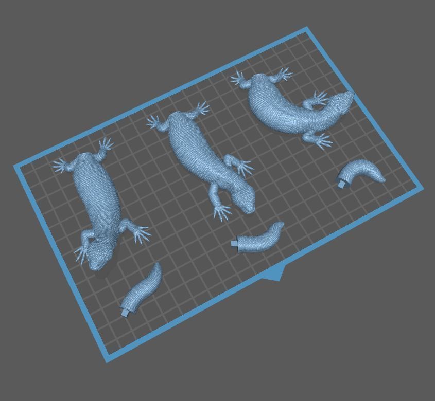 Gila Monster Lizard Realistc Venomous Reptile 3D Print Model 3D print model_19