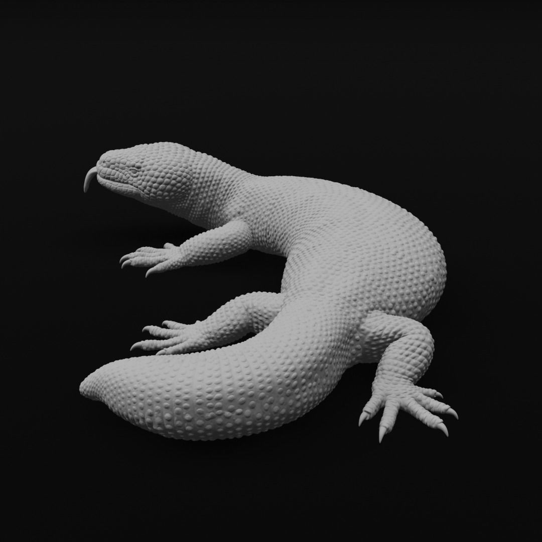 Gila Monster Lizard Realistc Venomous Reptile 3D Print Model 3D print model_3
