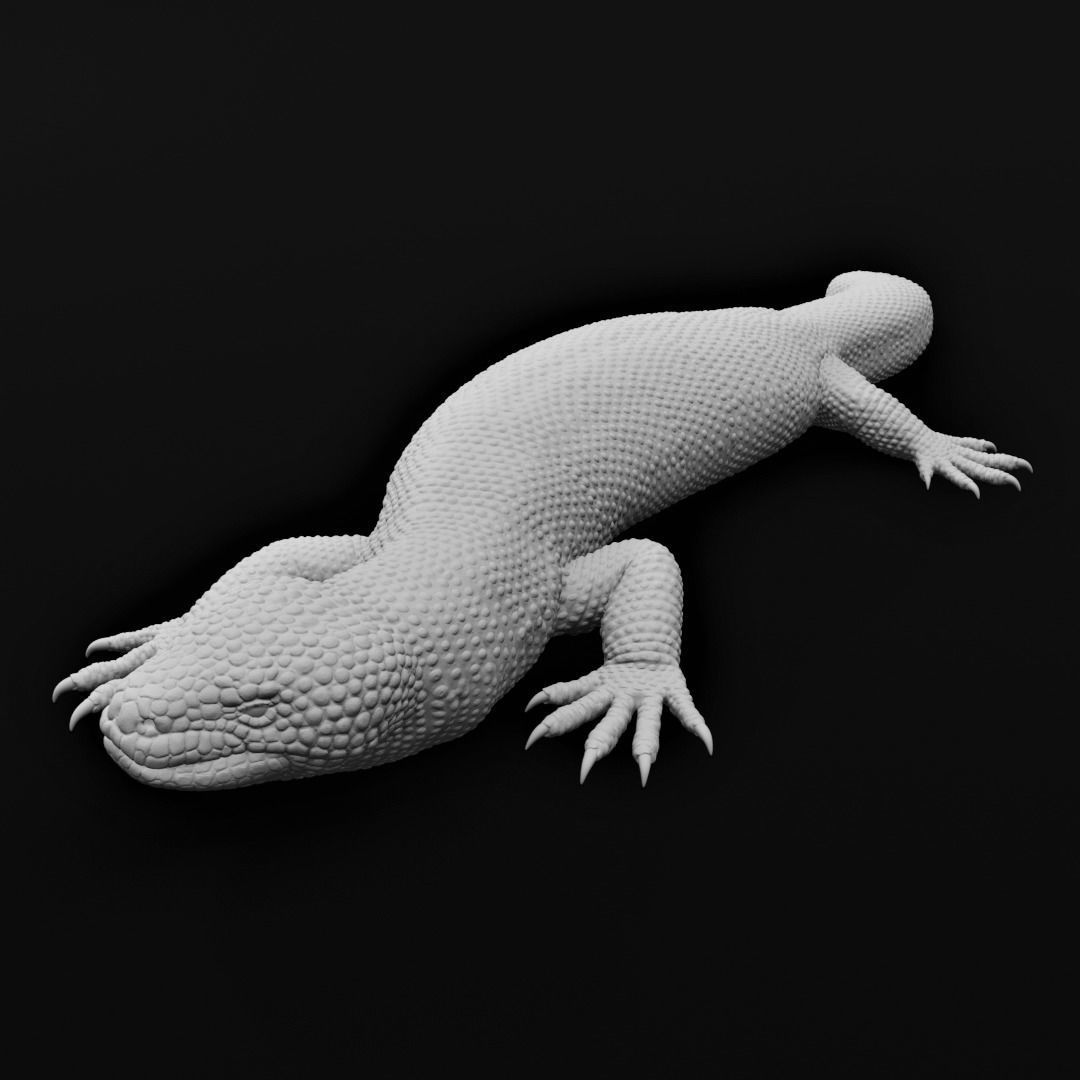 Gila Monster Lizard Realistc Venomous Reptile 3D Print Model 3D print model_6