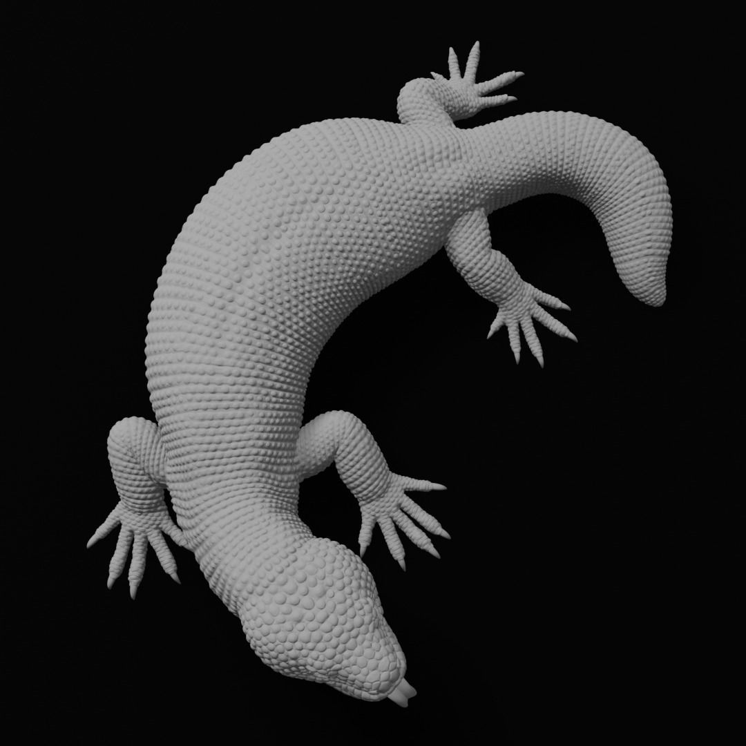 Gila Monster Lizard Realistc Venomous Reptile 3D Print Model 3D print model_4