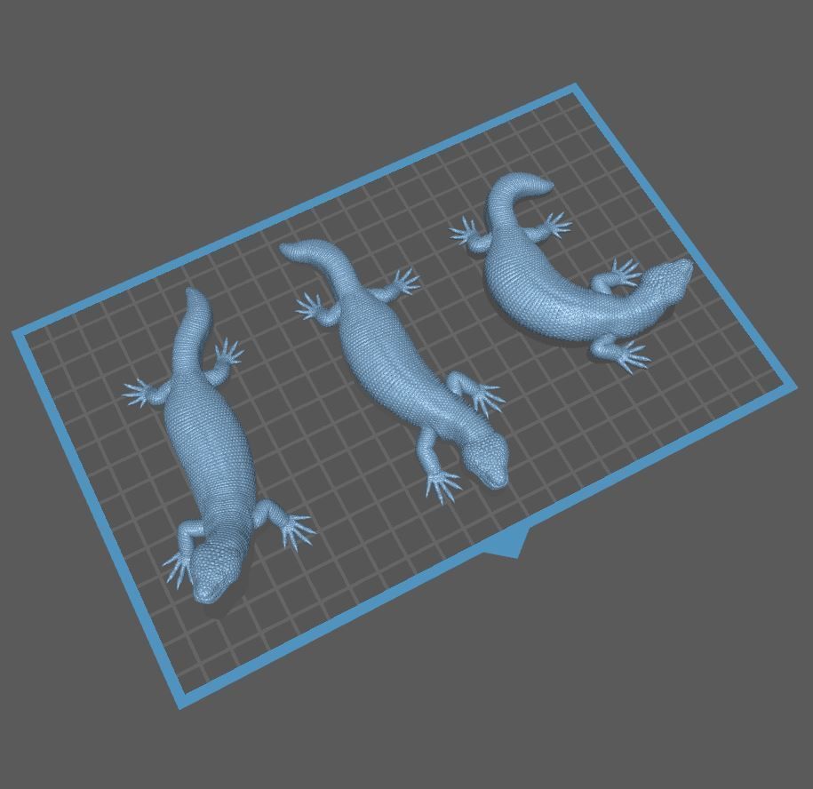 Gila Monster Lizard Realistc Venomous Reptile 3D Print Model 3D print model_18