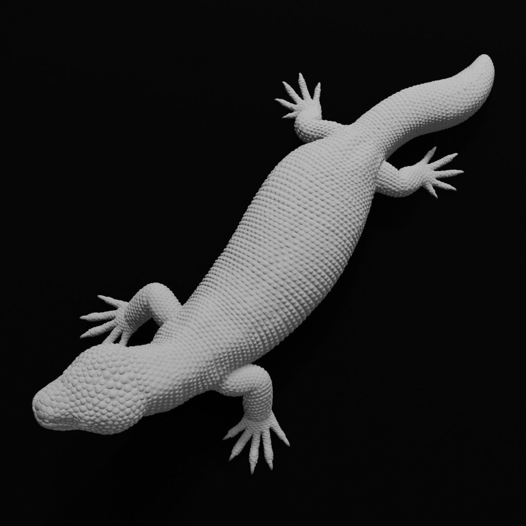 Gila Monster Lizard Realistc Venomous Reptile 3D Print Model 3D print model_14