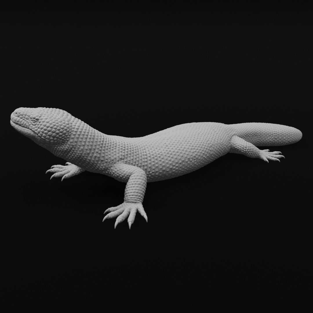 Gila Monster Lizard Realistc Venomous Reptile 3D Print Model 3D print model_11
