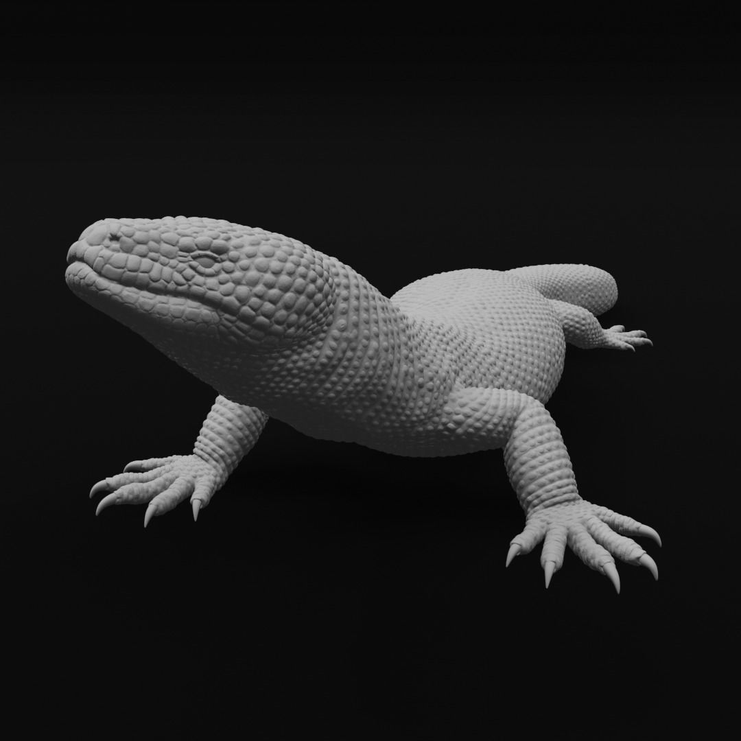 Gila Monster Lizard Realistc Venomous Reptile 3D Print Model 3D print model_10