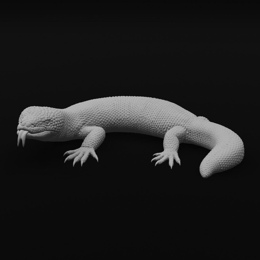 Gila Monster Lizard Realistc Venomous Reptile 3D Print Model 3D print model_2