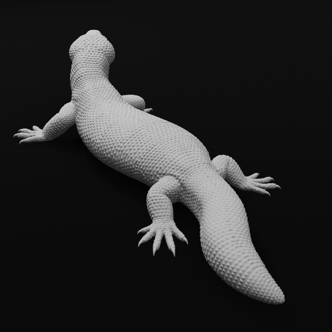 Gila Monster Lizard Realistc Venomous Reptile 3D Print Model 3D print model_12