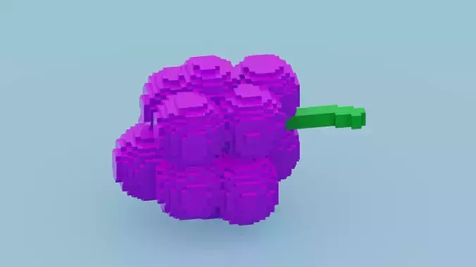 Voxel Grapes