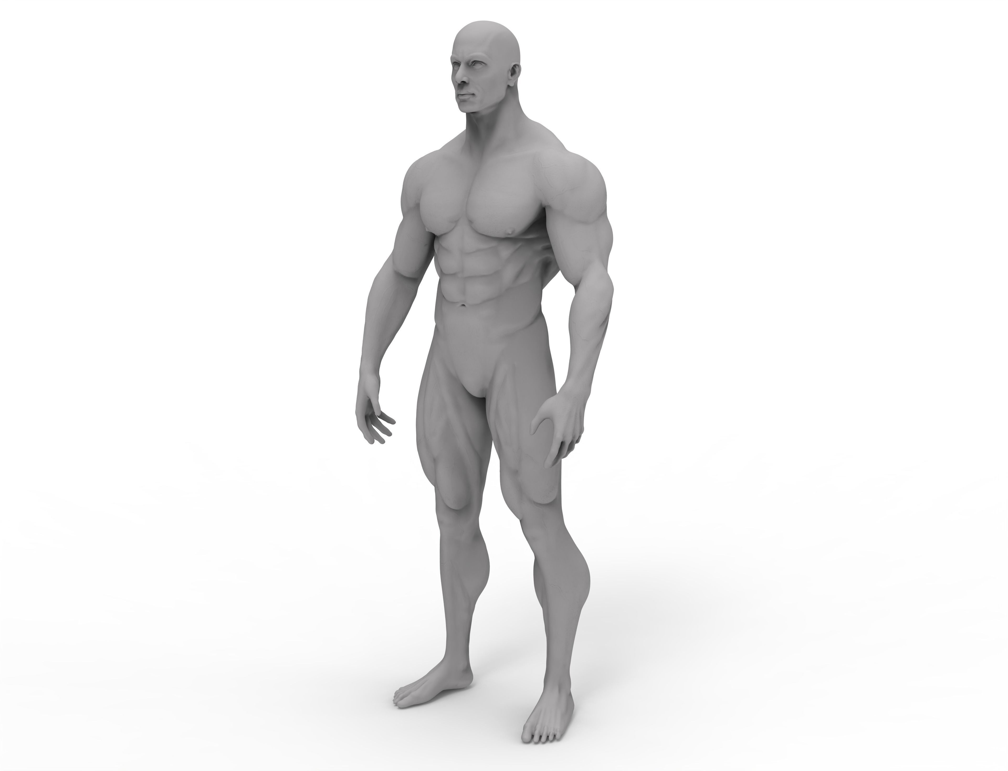3d male bodybuilder 3D print model_1