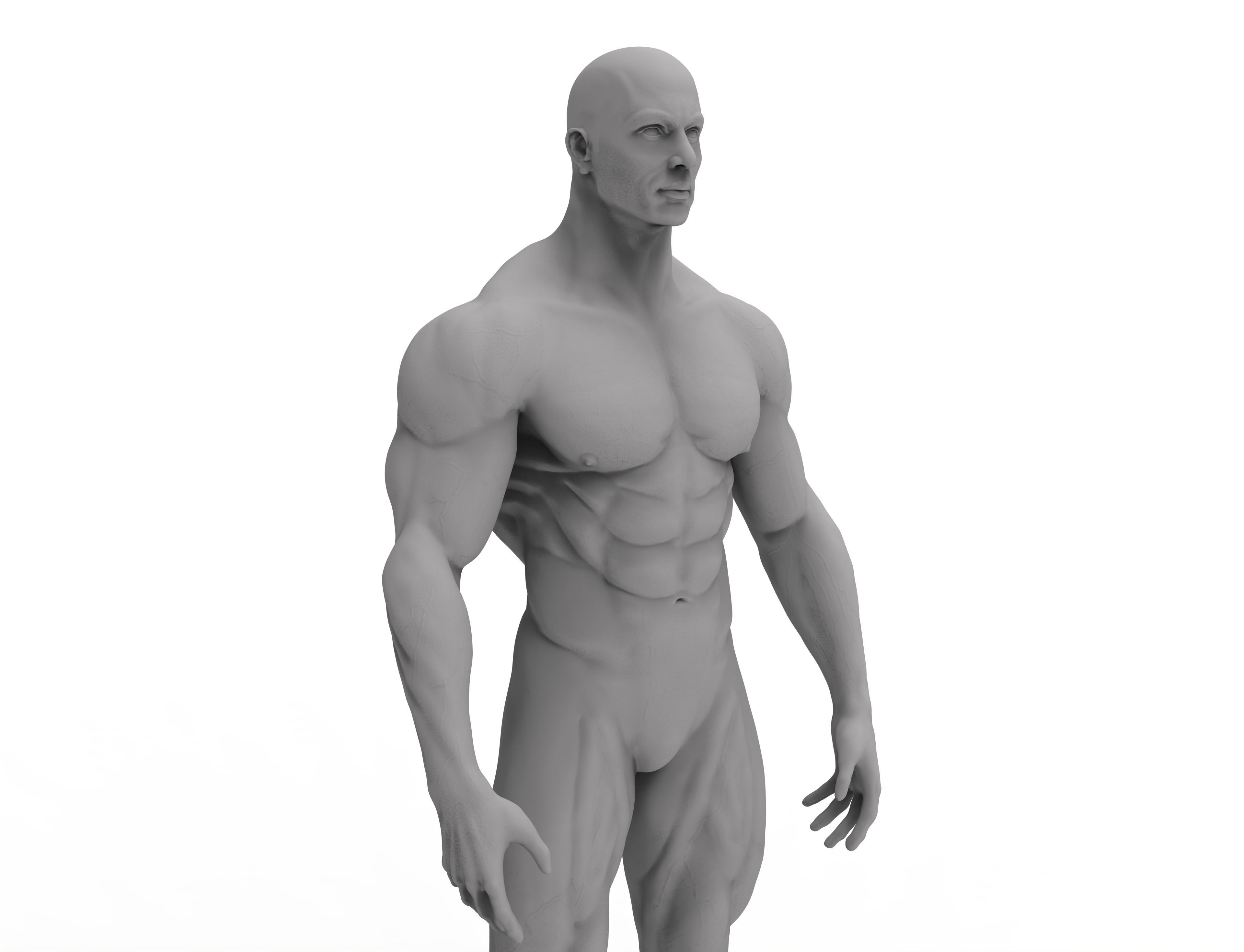 3d male bodybuilder 3D print model_4