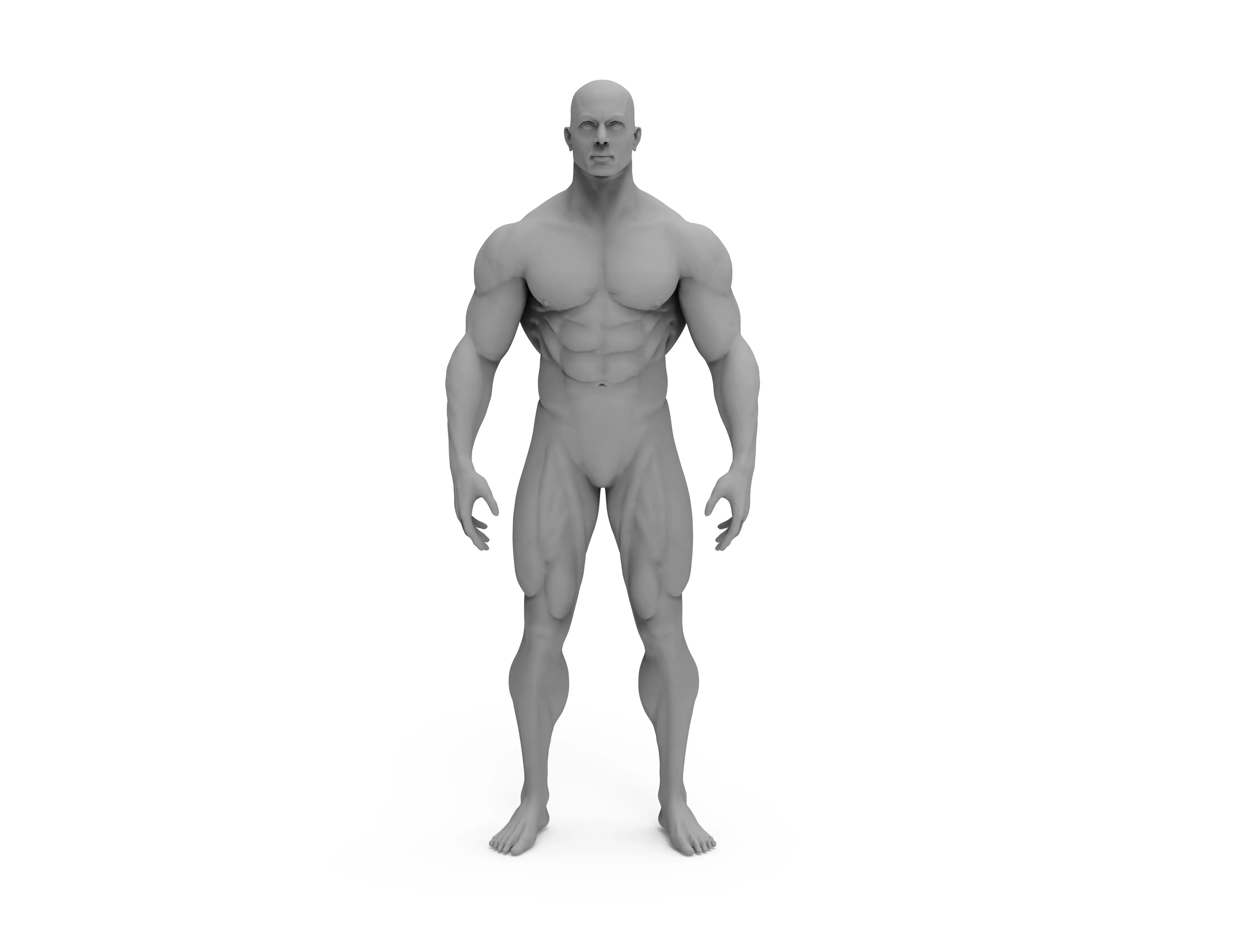 3d male bodybuilder 3D print model_0