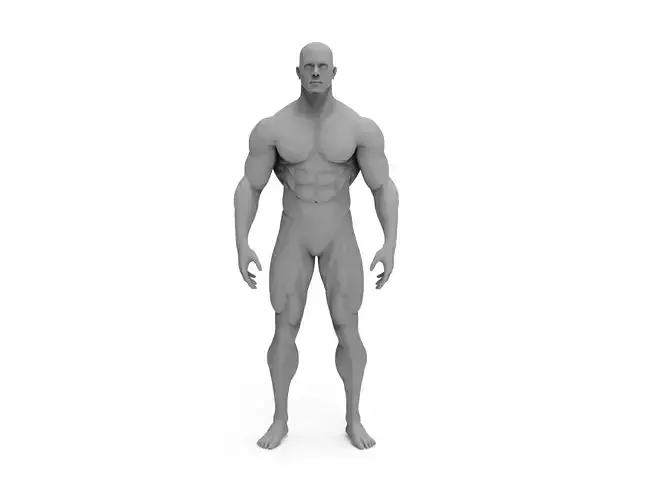 3d male bodybuilder
