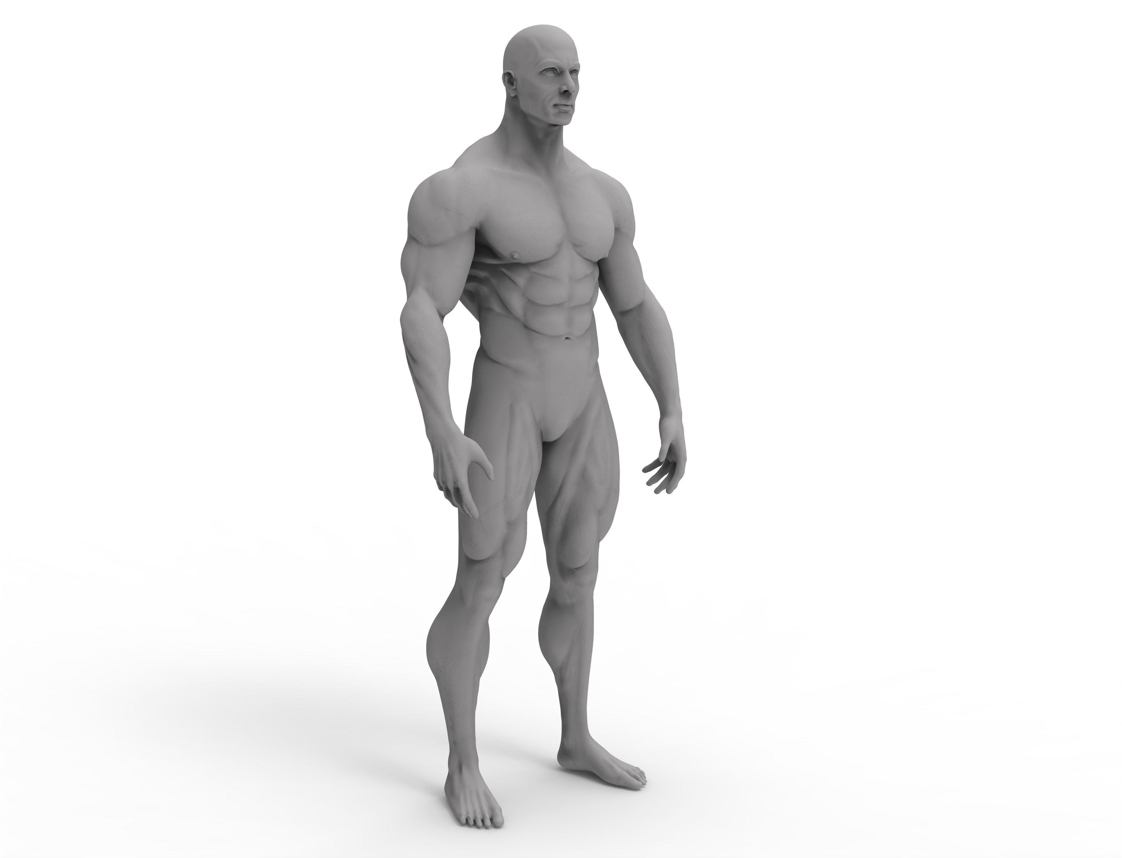 3d male bodybuilder 3D print model_3